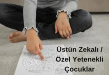 Üstün Yetenekli / Özel Yetenekli Çocuklar: Tanım, Özellikler ve Destek Üstün Yetenekli