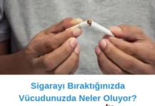 Sigarayı Bırak
