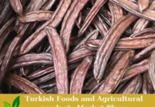 Premium Turkish Organic Carobs – Ready for Export! Carobs