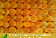 Premium Turkish Dried Apricots – Ready for Export! Dried Apricots