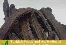 Premium Turkish Fresh Organic Dried Carob – Ready for Export! Dried Carob