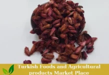 Premium Turkish Fresh Organic Dried Pomegranate Arils – Ready for Export! Dried Pomegranate Arils