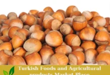 Premium Inshell Turkish Hazelnuts – Ready for Export! Inshell Turkish Hazelnuts