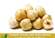 Premium Turkish Organic Hazelnuts – Ready for Export! Organic Hazelnuts
