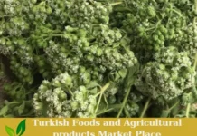 Premium Turkish Fresh Organic Oregano – Ready for Export! Organic Oregano