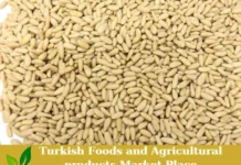 Pine Nut Kernels