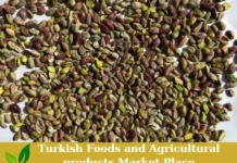 Turkish Pistachio Kernels