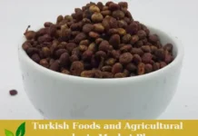 Premium Turkish Organic Sumac Berry – Ready for Export! Sumac Berry