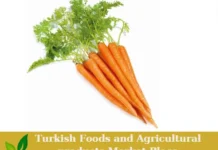 Premium Turkish Carrots – Ready for Export! Turkish Carrots