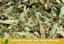 Premium Turkish Linden Leaves and Flowers – Ready for Export! Linden Leaves