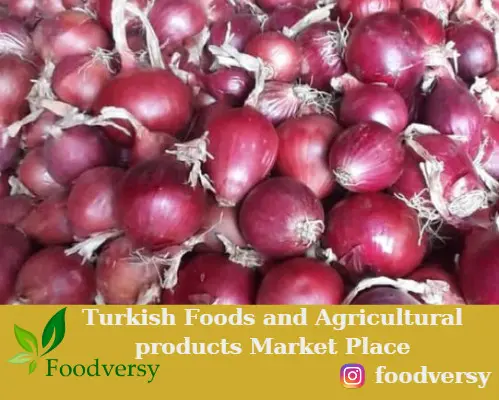 Turkish Onions