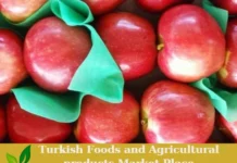 Premium Turkish Fresh Red Apples – Ready for Export! Turkish Red Apples