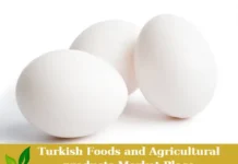 White Chicken Egg