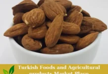 Premium Turkish Organic Anatolian Almond Kernels – Ready for Export! almond kernels
