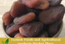 Premium Turkish Organic Dried Apricots – Ready for Export! dried apricots