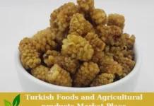 Premium Turkish Organic Dried Mulberries – Ready for Export! dried mulberries