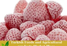 Premium Turkish Fresh Frozen Strawberries – Ready for Export! Frozen Strawberries