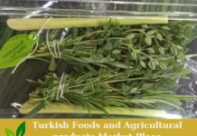 Premium Turkish Fresh Herbal Teas – Ready for Export! Herbal Tea