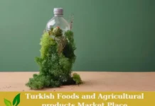 organic food