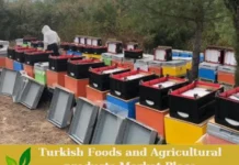 The Growing Market for Organic Agriculture & Organic Food Products in South Africa organic food products