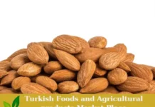 Premium Turkish Organic Peach Kernels – Ready for Export! Peach Kernels