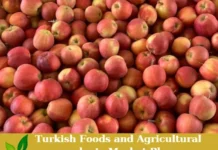 red gala apples