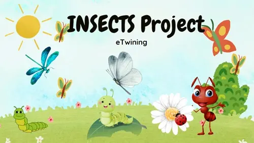 INSECTS ETWİNİNG PROJEMİZ 1 Insects eTwinning