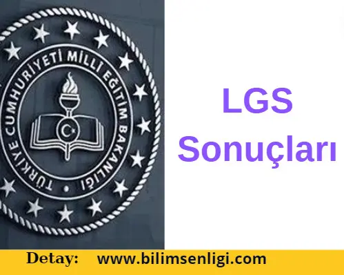 LGS Sonuçları