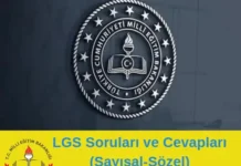 LGS Soruları ve Cevapları