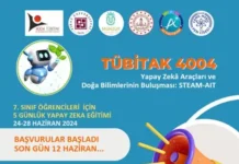 TÜBİTAK 4004
