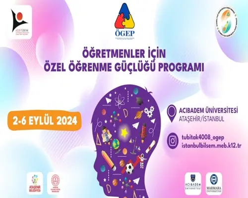 TÜBİTAK 4008