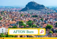Afyon Öğrenci Bursları