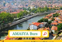 Amasya Öğrenci Bursları