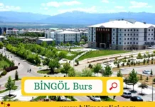 Bingöl Öğrenci Bursları