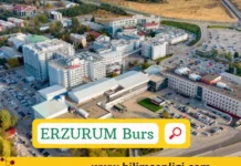 Erzurum Öğrenci Bursları