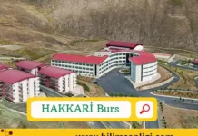 Hakkari Öğrenci Bursları