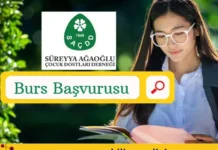 Burs Başvuruları