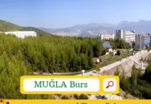 Muğla Öğrenci Bursları