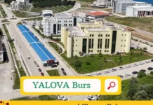 Yalova Öğrenci Bursları