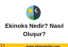 Ekinoks Nedir? Nasıl Oluşur? Ekinoks