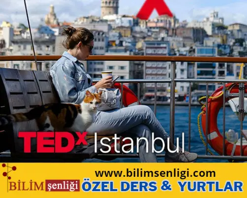 tedxistanbul TEDxIstanbul