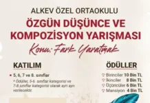 Özgün Düşünce