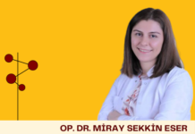 Op.Dr. Miray Sekkin Eser