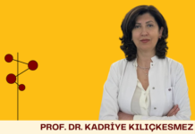 Prof. Dr. Kadriye Kılıçkesmez