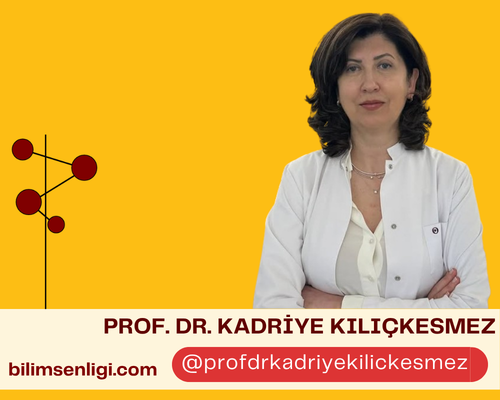 Prof. Dr. Kadriye Kılıçkesmez