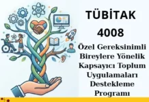 TÜBİTAK 4008