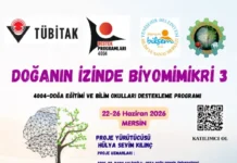 Doğanın İzinde Biyomimikri 3 Biyomimikri