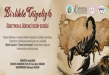 TÜRKİYE’NİN AKREPLERİ SANATLA HAYAT BULUYOR TÜRKİYE'NİN AKREPLERİ