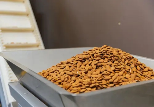 Why Global Chocolate and Bakery Brands Partner with Foodimpex Inc. for Premium Nut Sourcing 1 Bakery Brands Partner