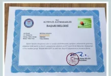 Beyhan Solgun